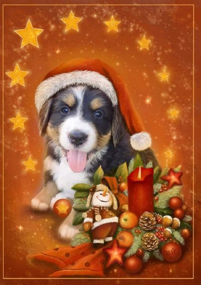 Песик - шапочка, игрушки, новый год, собачка - оригинал