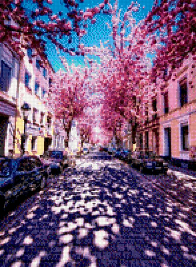 город - весна, город, сакура - предпросмотр