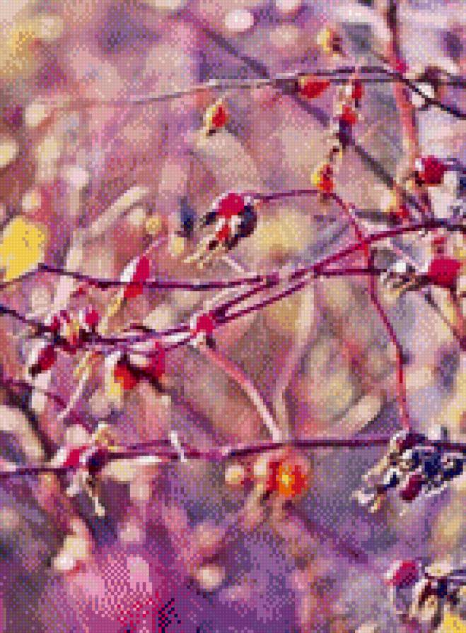 Листья - листья, лес - предпросмотр