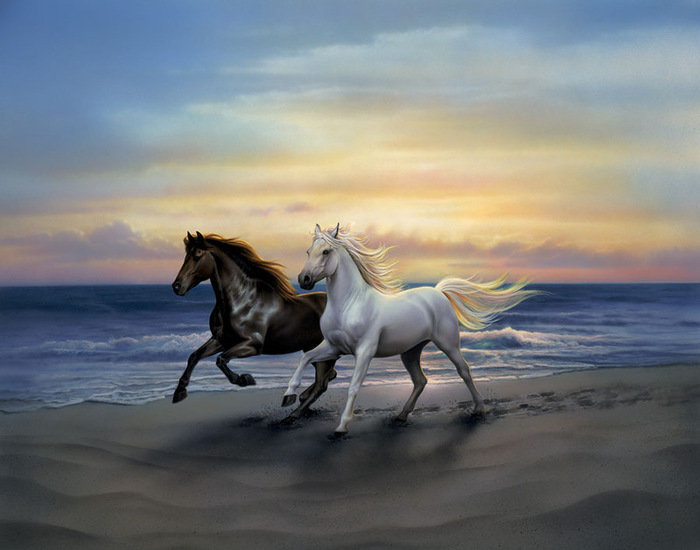 Бегущие по берегу кони - море, закат, берег, лошади, кони - оригинал