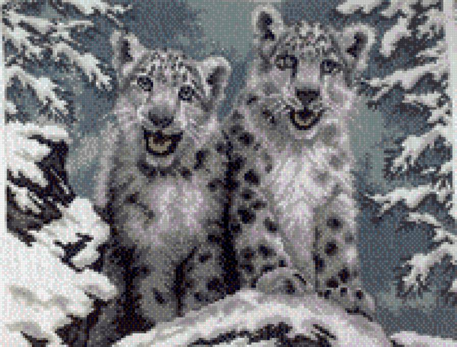 vvvv - предпросмотр