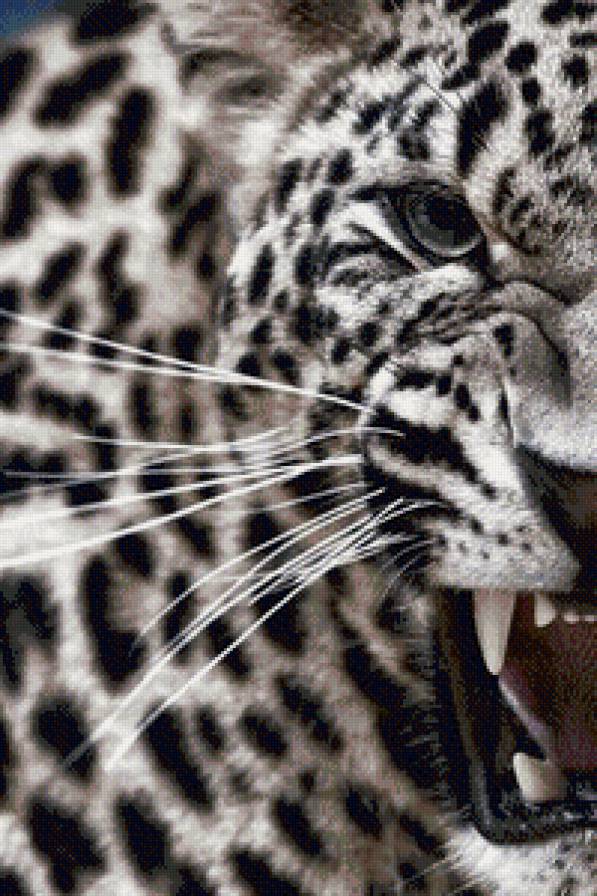 Хищники(правая часть) - мир животных - предпросмотр