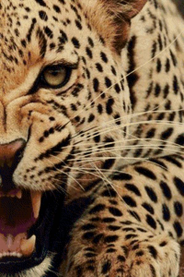 Хищники(левая часть) - мир животных - предпросмотр