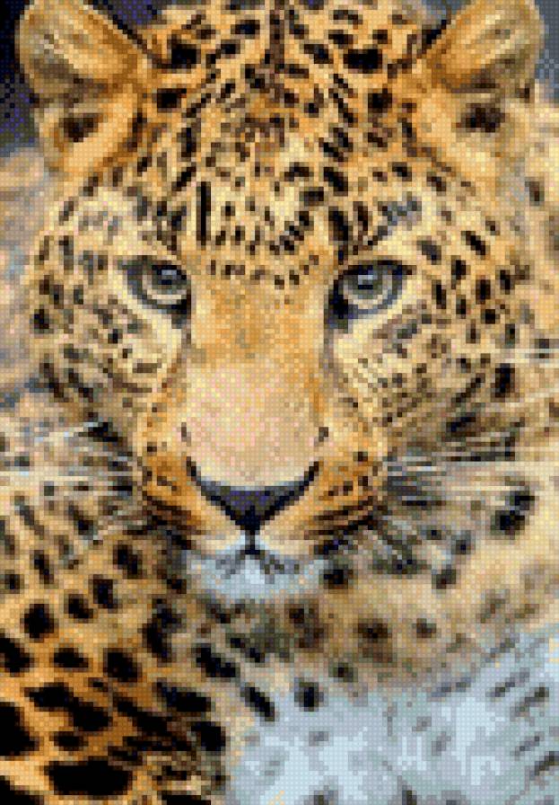 леопард - предпросмотр