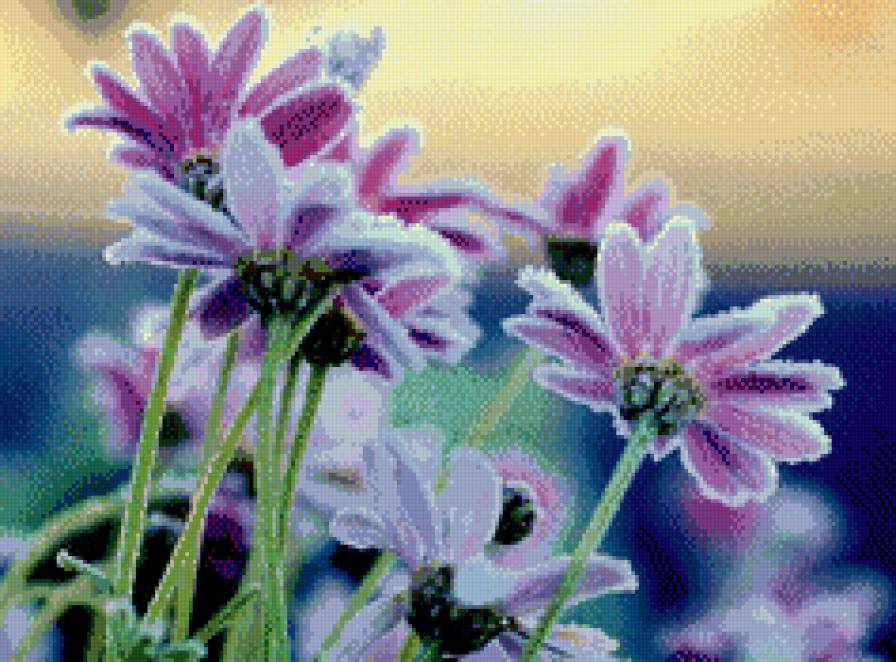 Заснеженные  цветы - цветы - предпросмотр