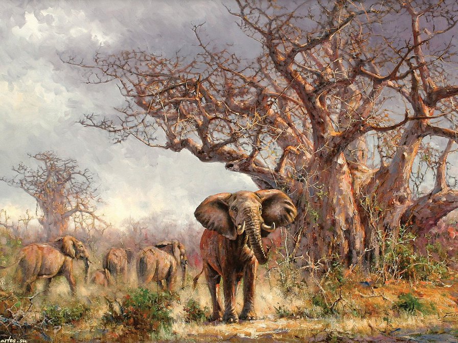 Саванна - слоны, саванна - оригинал