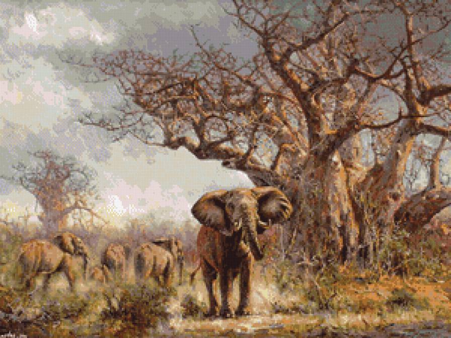 Саванна - слоны, саванна - предпросмотр