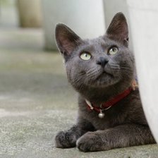 Схема вышивки «Дымусик»