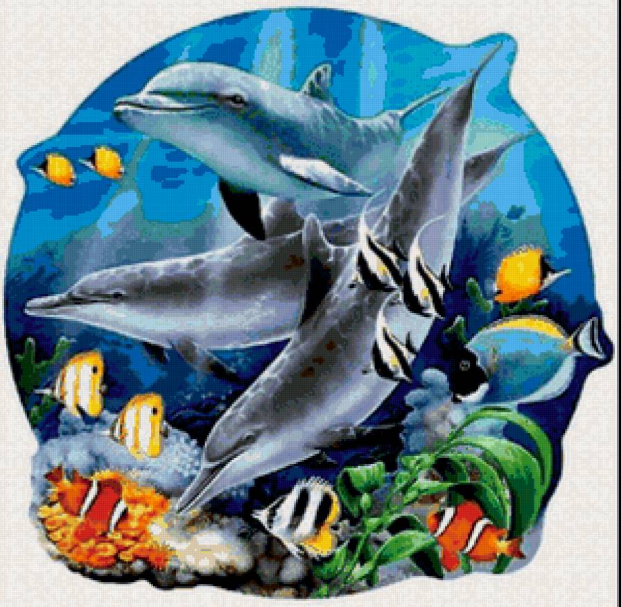 рыбки - предпросмотр