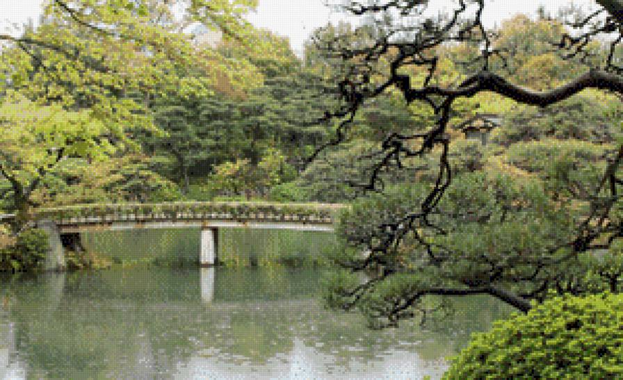 Ботанический сад - деревья, мостик, парк, речка - предпросмотр