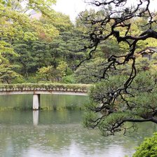 Ботанический сад