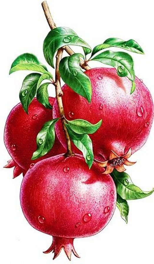 гранаты - оригинал