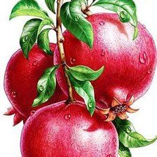 Схема вышивки «гранаты»