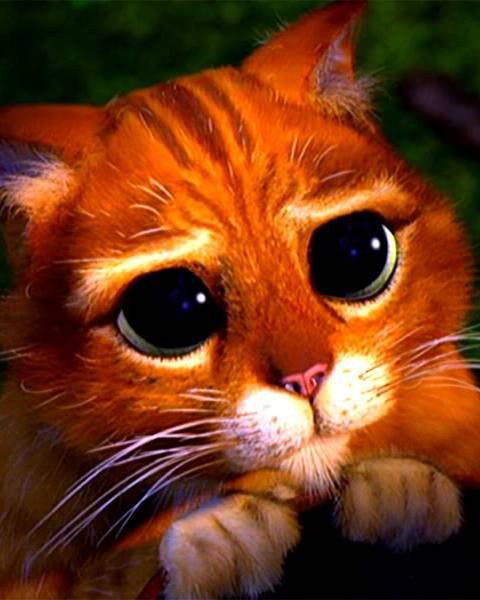 котик с глазками - кот - оригинал