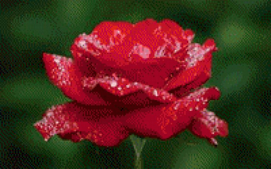 №1091010 - предпросмотр