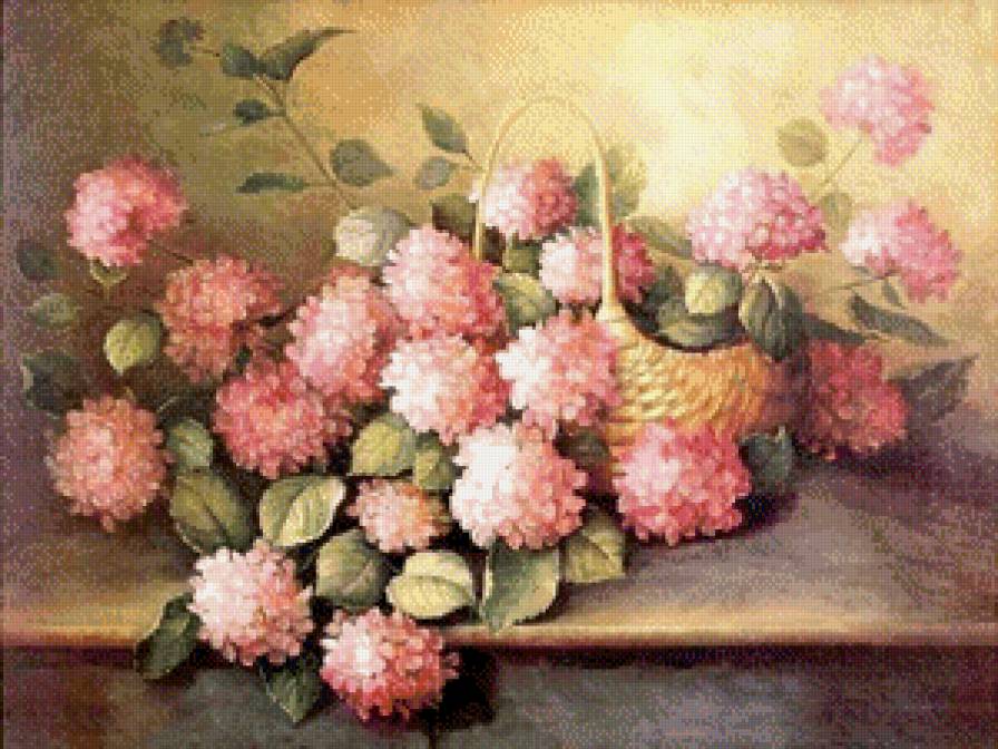 Розовая гортензия - букеты, цветы, гортензия - предпросмотр