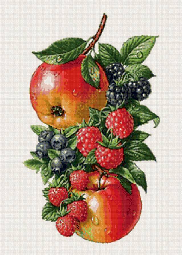 фрукты и ягоды на ветке - предпросмотр