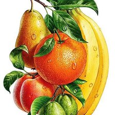 Оригинал схемы вышивки «фрукты на ветке» (№1091379)