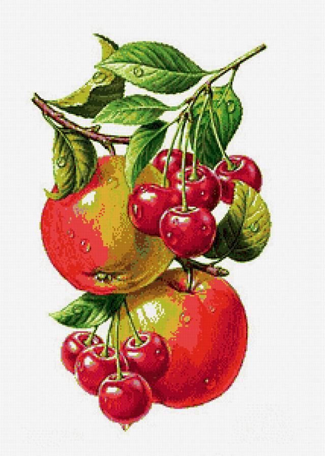 яблоки и вишни на ветке - предпросмотр