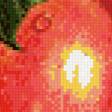 Предпросмотр схемы вышивки «наливные яблочки» (№1091386)