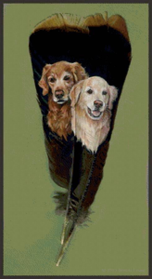 перо - рисунки, собаки, перья - предпросмотр