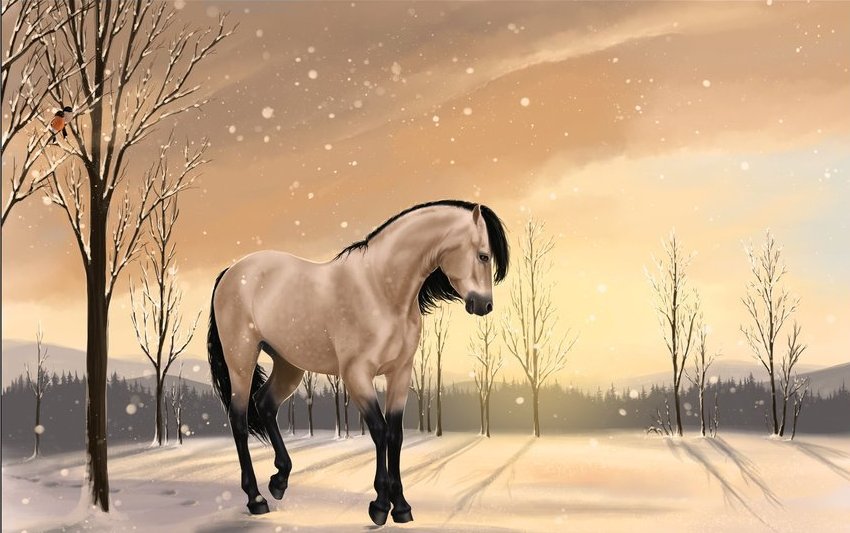 лошадка - лошадь, конь, животное - оригинал