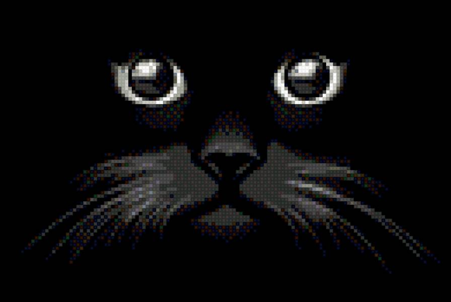 Черный кот - предпросмотр