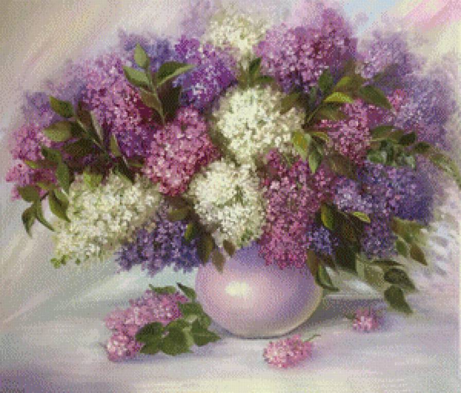 сирень - предпросмотр