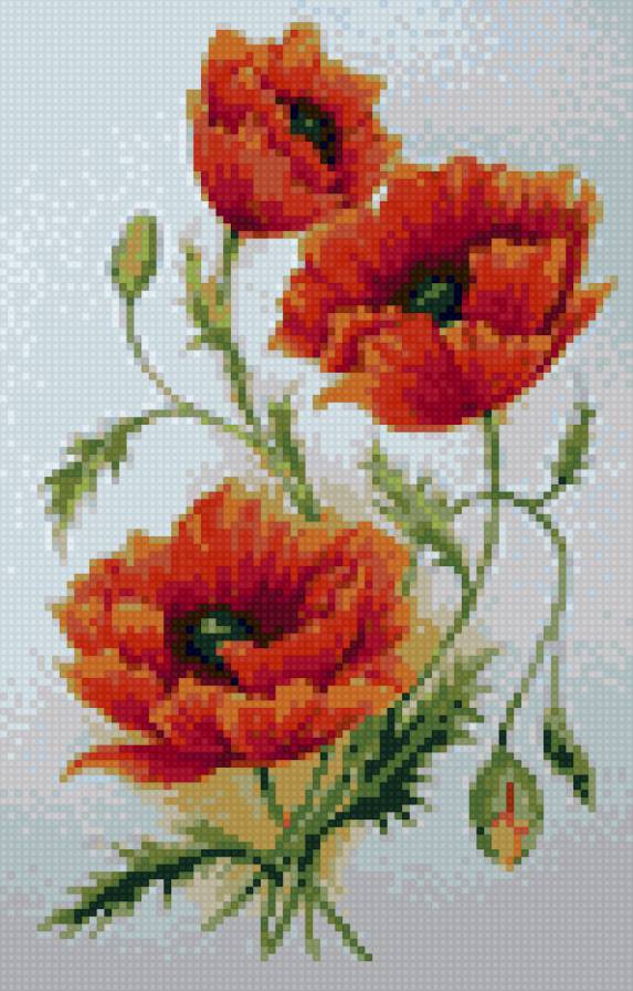 Маки - предпросмотр