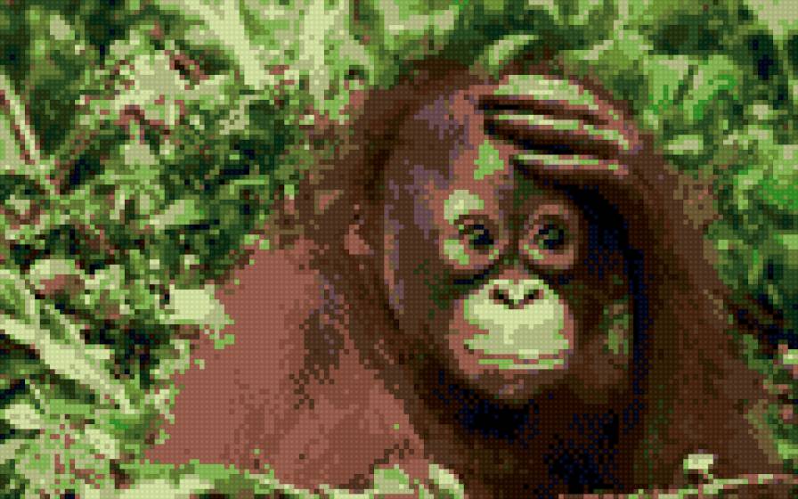 обезьянка - животные - предпросмотр