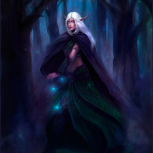 Схема вышивки «Ночная эльфийка»