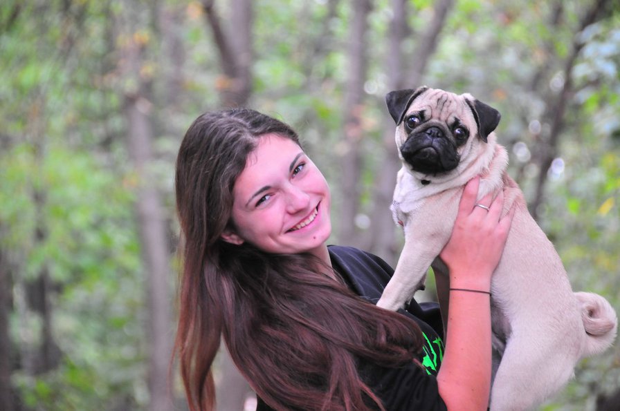 мопсик 4 - оригинал