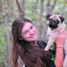 Схема вышивки «мопсик 4»