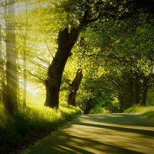 Летний парк