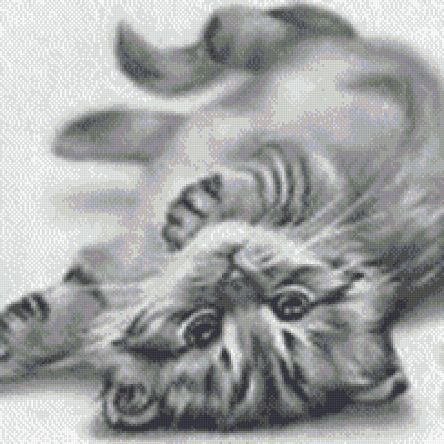 котя пнк 15 - предпросмотр