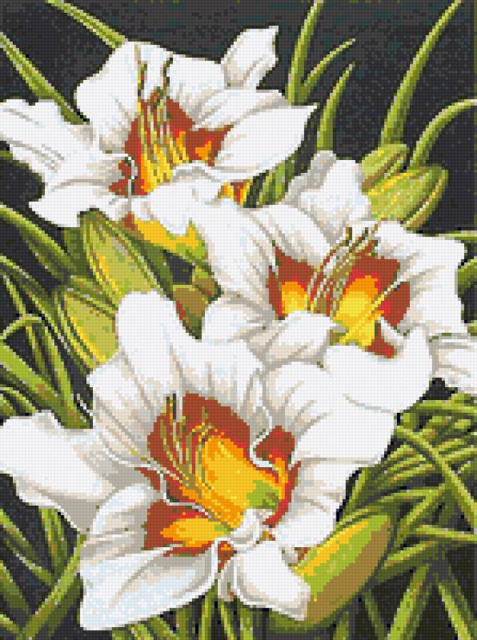 Лилейник - предпросмотр