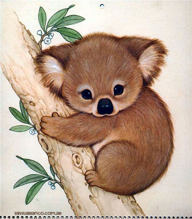 Малыш коала - оригинал
