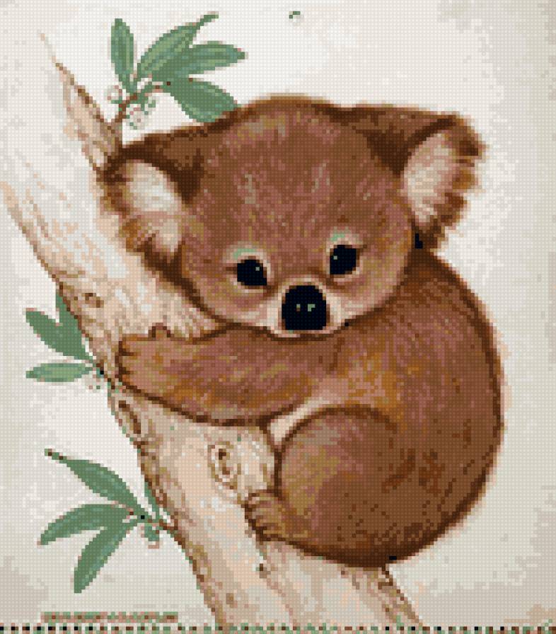 Малыш коала - предпросмотр