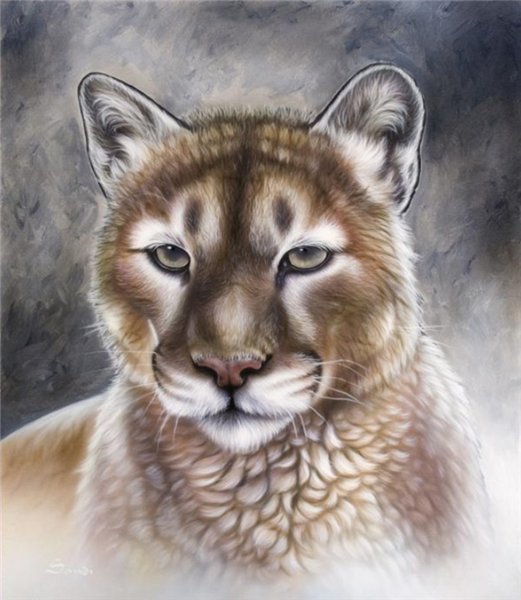 животные - оригинал