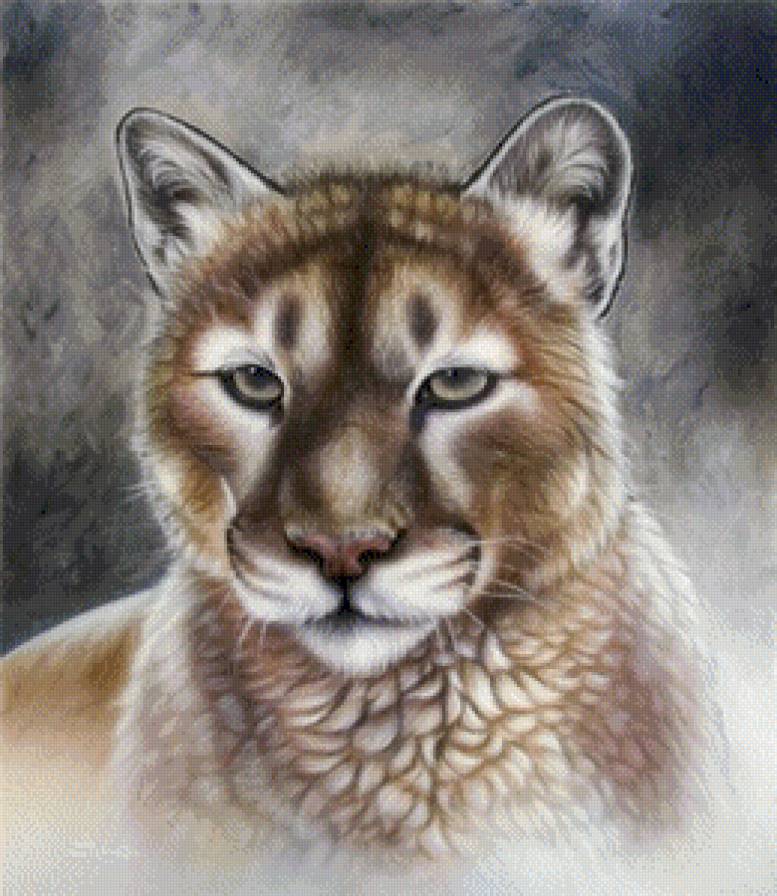 животные - предпросмотр