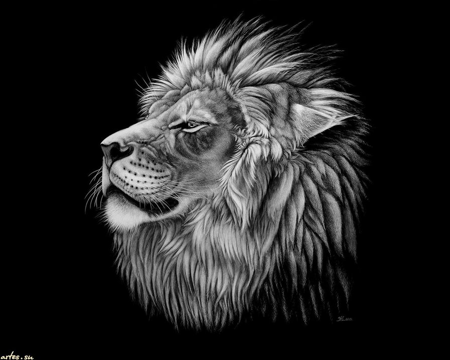 животные - оригинал