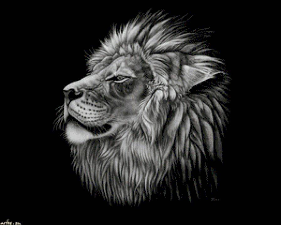 животные - предпросмотр