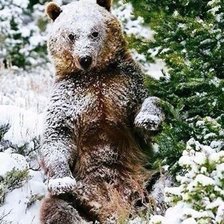 Схема вышивки «однажды в лесу»