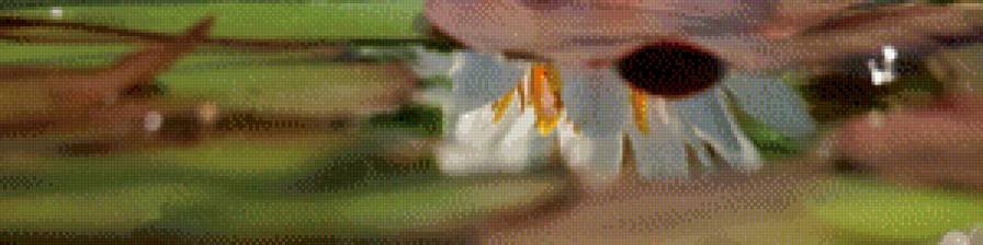 лотос на воде 2 - вода, триптих, лотос - предпросмотр