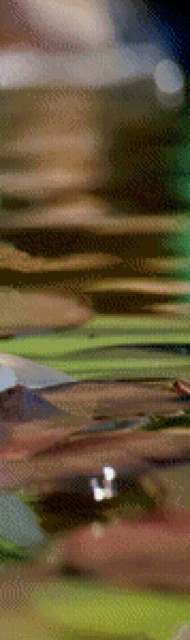 лотос на воде 3 - вода, триптих, лотос - предпросмотр