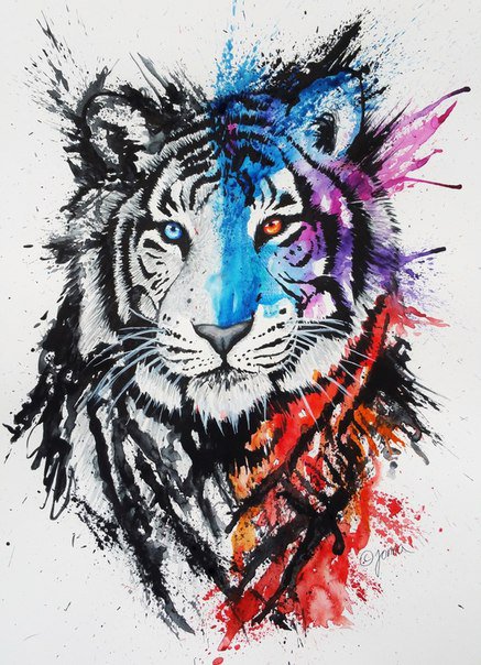 Тигр акварель - тигр, акварель. краски - оригинал