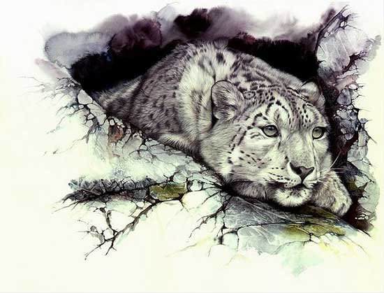 Снежный барс - краски., барс - оригинал