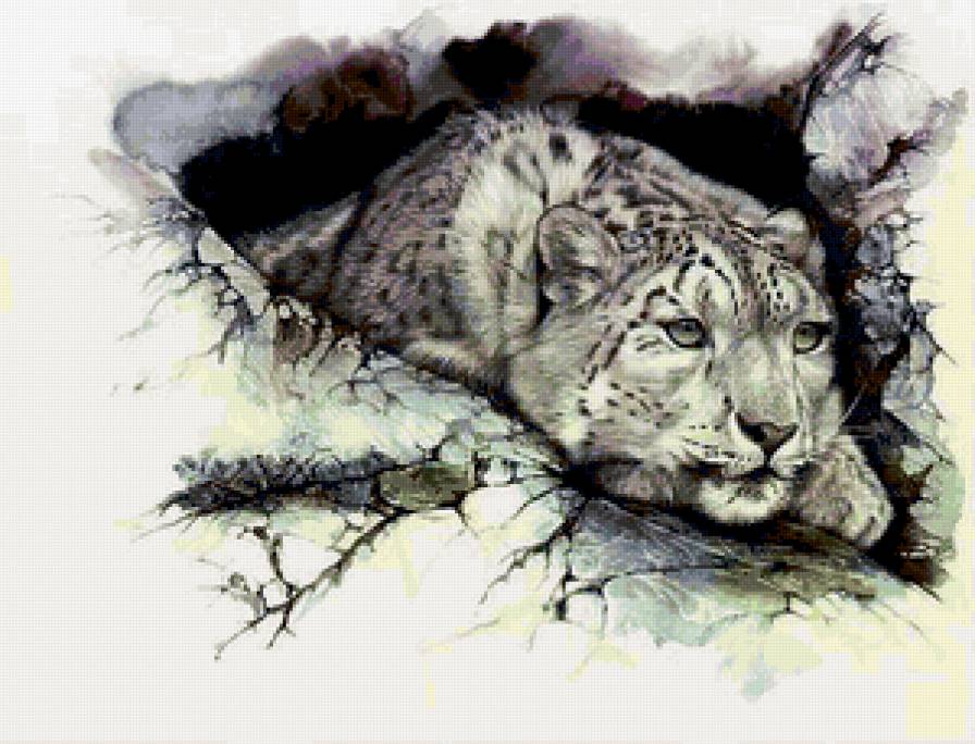 Снежный барс - барс, краски. - предпросмотр