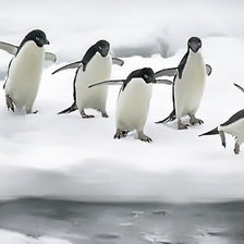 Схема вышивки «Pingúinos en su habitat»