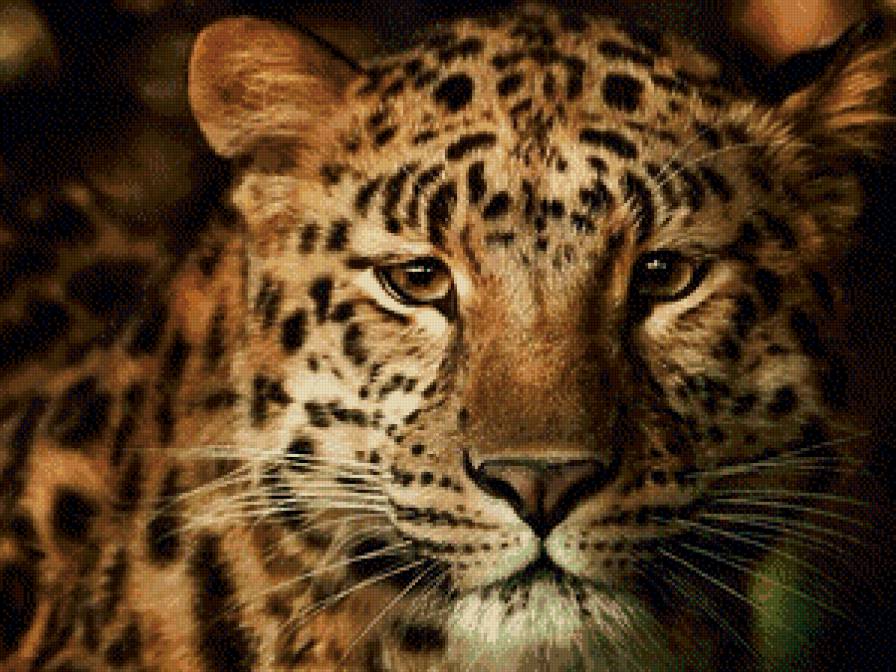 леопард - предпросмотр